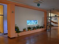 dsc 0202